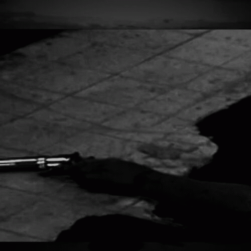 Somn Nesfarsit : My Voice Says Die